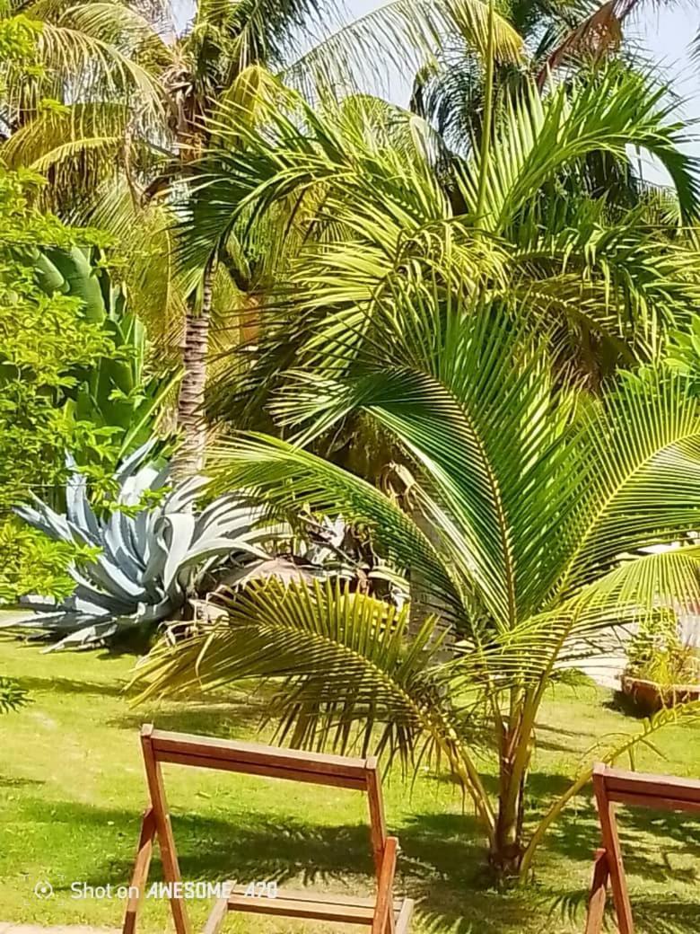 Chambre D'Hote Les Vacanciers Nianing Exterior foto